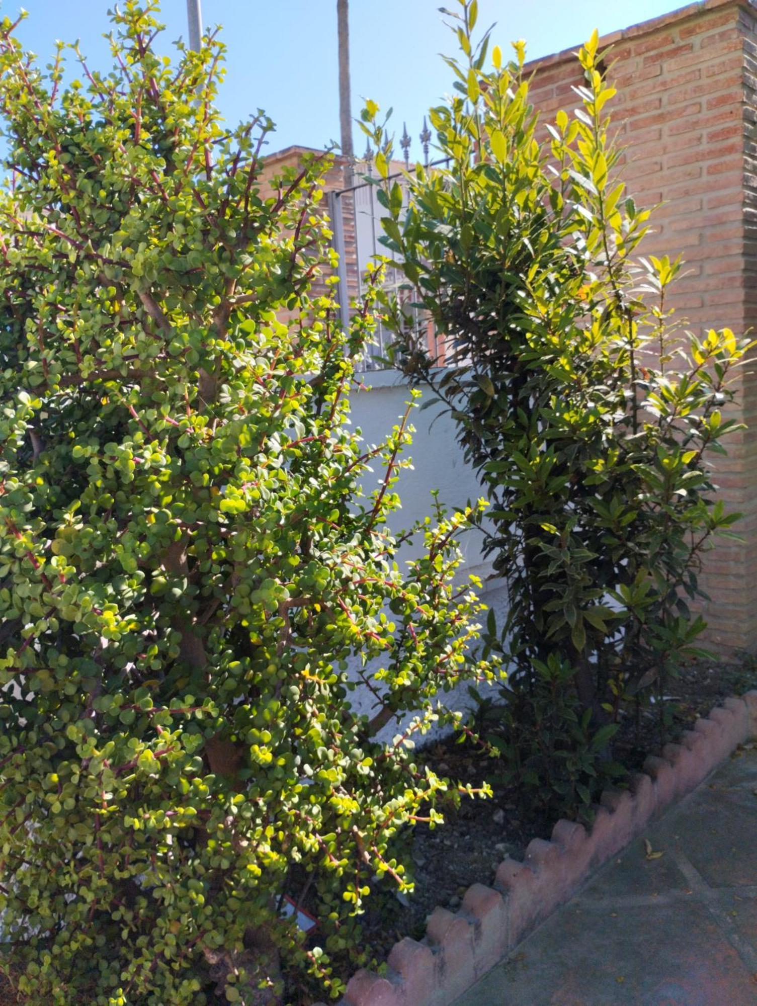Villa Jade Beach La Cala Del Moral Bagian luar foto
